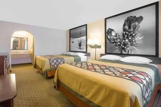 Standard Tek Büyük Yataklı Oda, 2 Çift Kişilik Yatak, Sigara İçilebilir