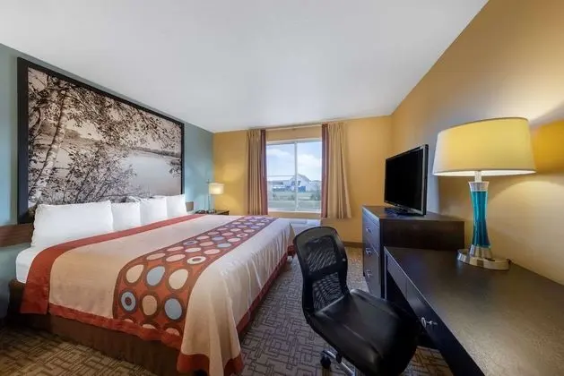 Oda, 1 En Büyük (King) Boy Yatak, Sigara İçilmez (Dog-Friendly)