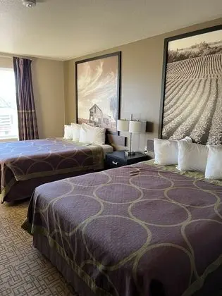 Oda, 2 Büyük (Queen) Boy Yatak, Sigara İçilmez, Küçük Mutfak