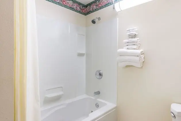 Oda, 1 Büyük (Queen) Boy Yatak, Sigara İçilmez (Roll-In Shower)