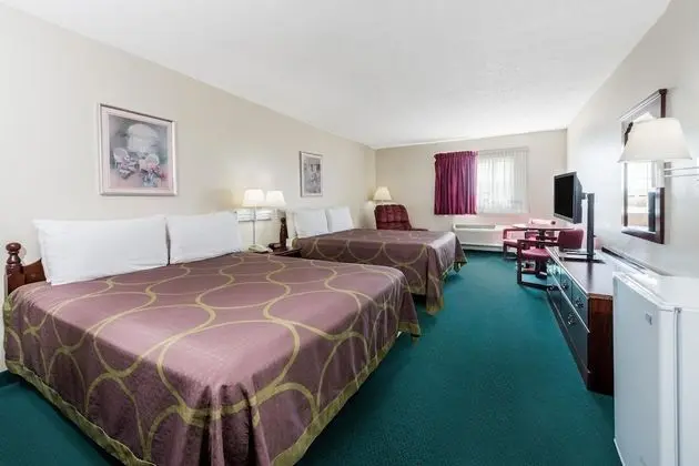 Stüdyo Süit, 2 Büyük (Queen) Boy Yatak, Sigara İçilmez