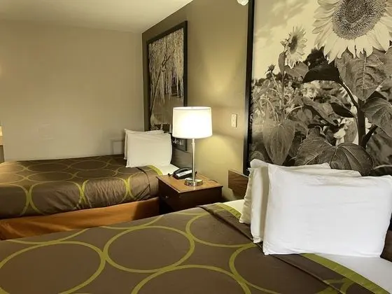 Oda, 2 Çift Kişilik Yatak (Second Floor)