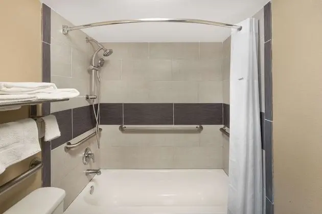 Oda, 1 Büyük (Queen) Boy Yatak, Engellilere Uygun, Sigara İçilmez (Mobility,Hearing,Tub w/Grab Bars)