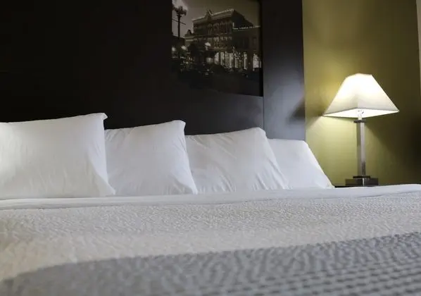 Deluxe Stüdyo Süit, 1 En Büyük (King) Boy Yatak, Sigara İçilmez (1st Floor)