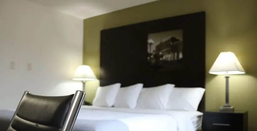 Deluxe Stüdyo Süit, 1 En Büyük (King) Boy Yatak, Sigara İçilmez (1st Floor)
