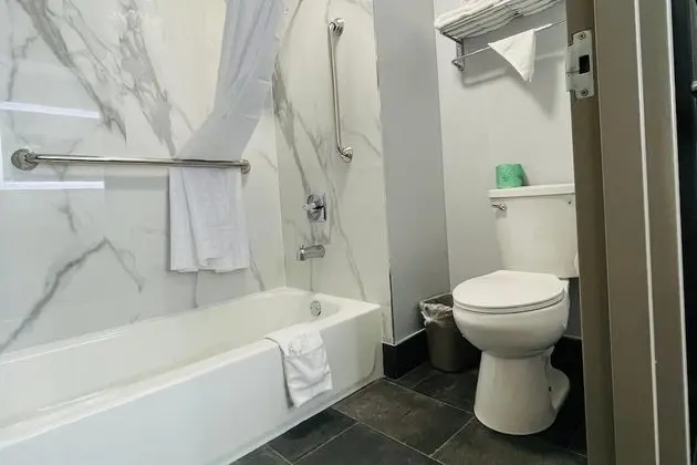 Engellilere uygun banyo