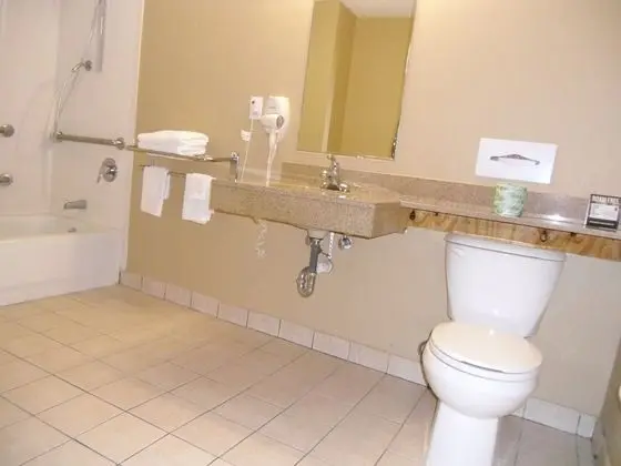 Oda, 1 En Büyük (King) Boy Yatak, Engellilere Uygun, Küvet (Mobility/Hearing, Grab bars)