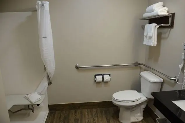 Oda, 1 En Büyük (King) Boy Yatak, Engellilere Uygun, Sigara İçilmez (Mobility Accessible)