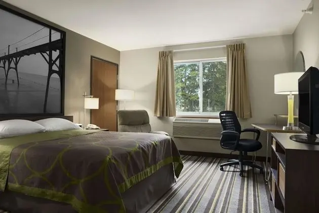 Stüdyo Süit, 1 En Büyük (King) Boy Yatak, Sigara İçilmez