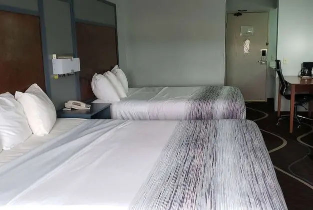 Oda, Sigara İçilmez (2 King Beds)