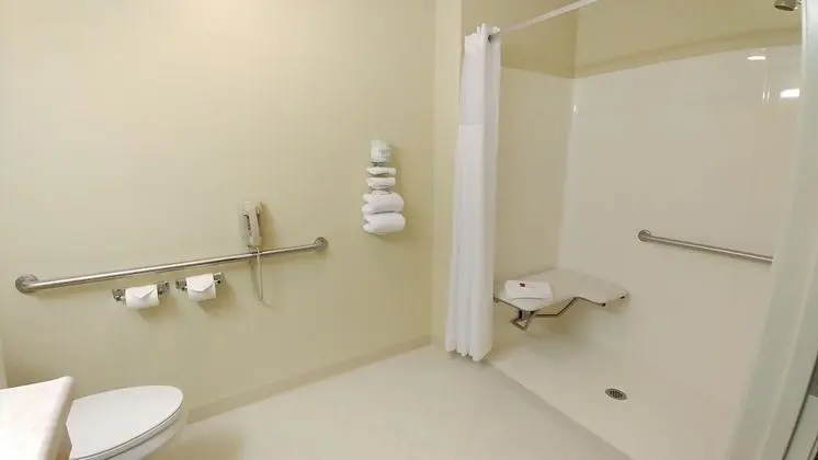 Oda, 1 En Büyük (King) Boy Yatak, Engellilere Uygun, Sigara İçilmez (Mobility Accessible)