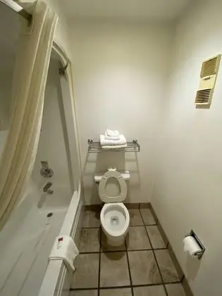 Standard Oda, 1 En Büyük (King) Boy Yatak, Sigara İçilmez