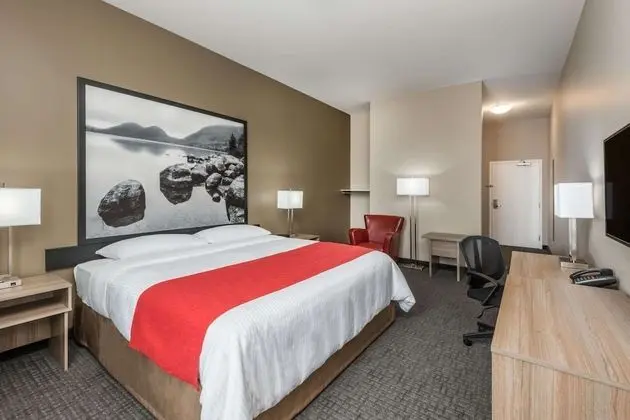 Standard Oda, 1 En Büyük (King) Boy Yatak, Sigara İçilmez