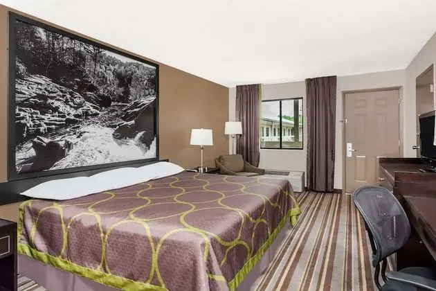 Standard Oda, 1 En Büyük (King) Boy Yatak, Engellilere Uygun, Sigara İçilmez (Mobility Accessible)