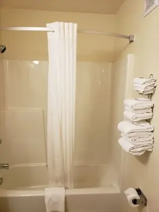 Süit, 1 En Büyük (King) Boy Yatak, Sigara İçilmez (Two-Room Suite)