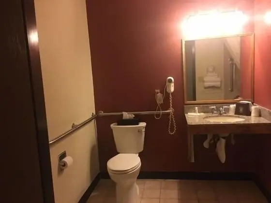Standard Oda, 1 Büyük (Queen) Boy Yatak, Engellilere Uygun, Sigara İçilmez (Mobility)