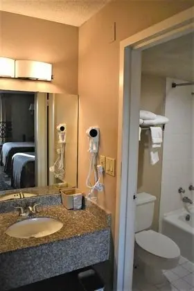 Deluxe Oda, 2 Çift Kişilik Yatak, Sigara İçilmez