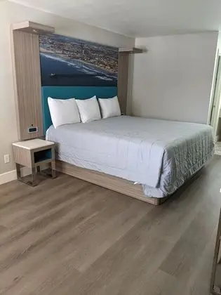 Deluxe Oda, 1 En Büyük (King) Boy Yatak, Sigara İçilmez