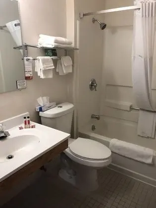 Deluxe Stüdyo Süit, 1 En Büyük (King) Boy Yatak, Sigara İçilmez