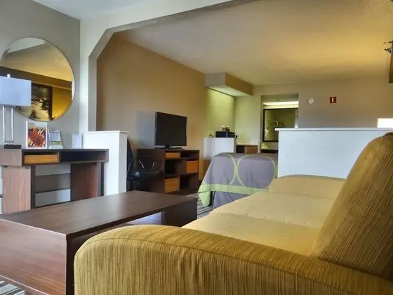Deluxe Oda, Sigara İçilmez (2 Queens and Sofa bed)