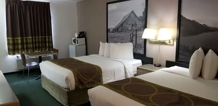 Standard Oda, 2 Büyük (Queen) Boy Yatak (Pet Friendly)