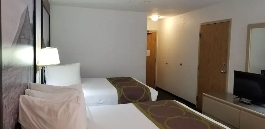 Standard Oda, 2 Büyük (Queen) Boy Yatak (Pet Friendly)