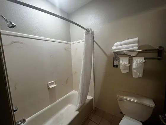 Deluxe Oda, 1 En Büyük (King) Boy Yatak, Sigara İçilmez (One-Bedroom)