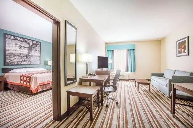 Deluxe Oda, 1 En Büyük (King) Boy Yatak, Sigara İçilmez (One-Bedroom)