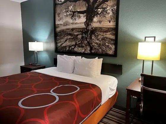 Deluxe Oda, 1 En Büyük (King) Boy Yatak, Sigara İçilmez (One-Bedroom)