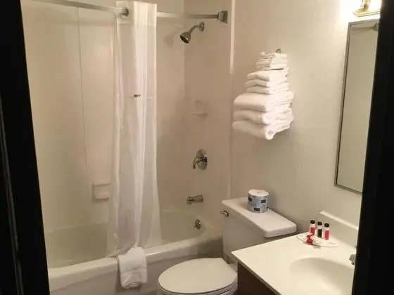 Standard Oda, 2 Çift Kişilik Yatak, Sigara İçilmez (Double Room)