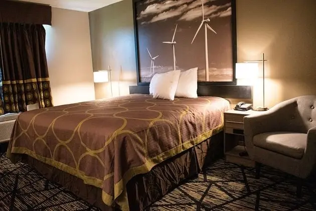 Oda, 1 En Büyük (King) Boy Yatak, Engellilere Uygun, Sigara İçilmez (Bathtub w/ Grab Bars)