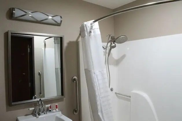 Oda, 1 En Büyük (King) Boy Yatak, Engellilere Uygun, Sigara İçilmez (Bathtub w/ Grab Bars)