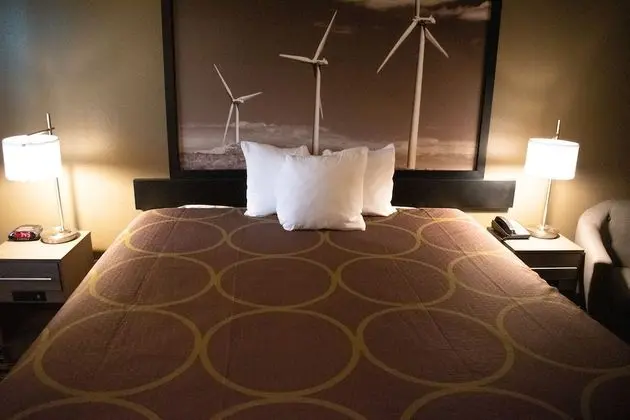 Oda, 1 En Büyük (King) Boy Yatak, Engellilere Uygun, Sigara İçilmez (Bathtub w/ Grab Bars)