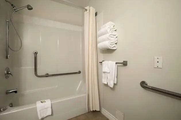Room, Accessible, 1 Queen Bed, Fridge, Non Smoking (no pets)