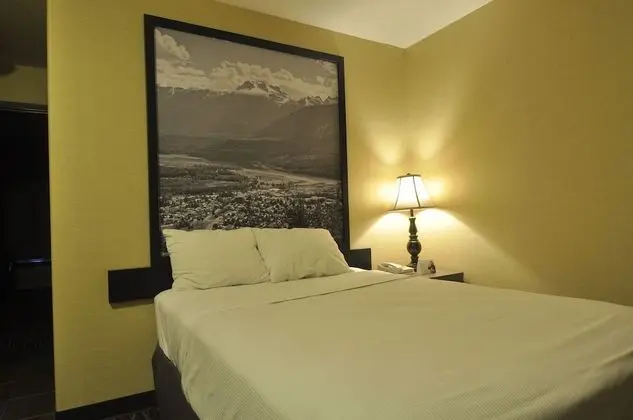Room, Accessible, 1 Queen Bed, Fridge, Non Smoking (no pets)