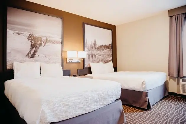 Süit, Birden Çok Yatak, Sigara İçilmez (One-Bedroom)
