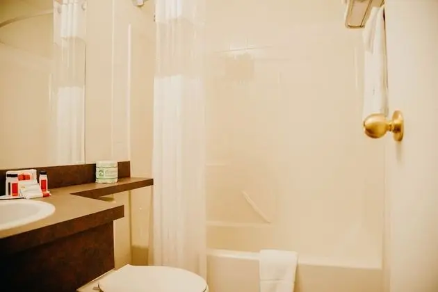 Süit, Birden Çok Yatak, Sigara İçilmez (One-Bedroom)