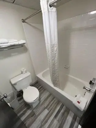 Oda, 2 Büyük (Queen) Boy Yatak, Sigara İçilmez (Pet-Friendly)