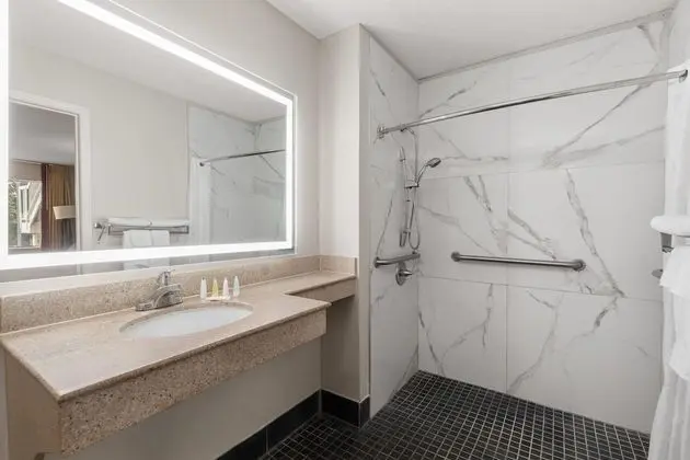 Engellilere uygun banyo