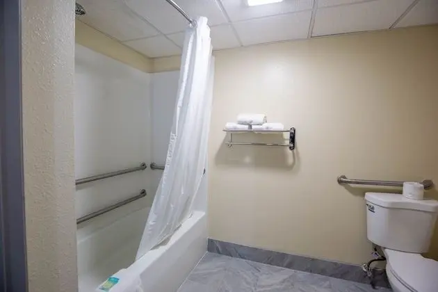 Oda, 1 Büyük (Queen) Boy Yatak, Engellilere Uygun, Sigara İçilmez (Mobility Accessible)