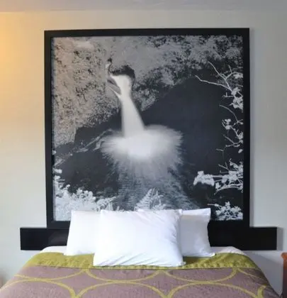 Standard Oda, 1 Büyük (Queen) Boy Yatak