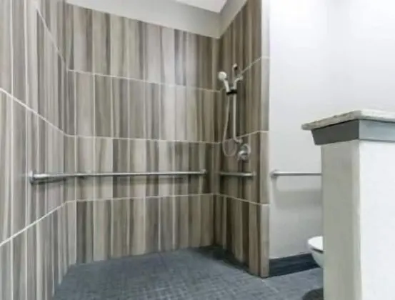 Oda, 1 Büyük (Queen) Boy Yatak, Engellilere Uygun (Hearing Accessible, Roll-In Shower)