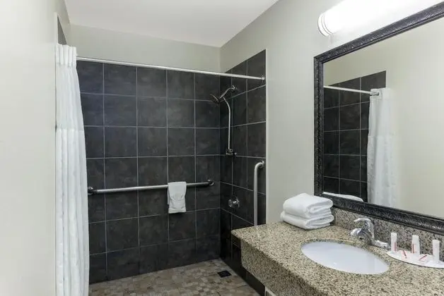Oda, 1 Büyük (Queen) Boy Yatak, Engellilere Uygun, Sigara İçilmez (Mobility/Hearing, Roll-In Shower)