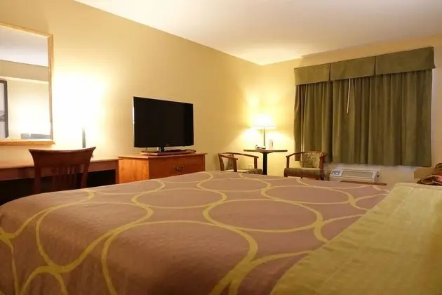 Standard Oda, 1 Büyük (Queen) Boy Yatak ve Çekyat, Sigara İçilmez