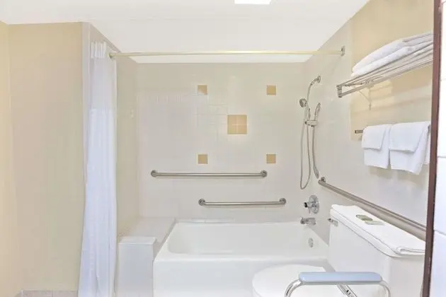 Oda, 1 En Büyük (King) Boy Yatak, Engellilere Uygun, Sigara İçilmez (Mobility Accessible)