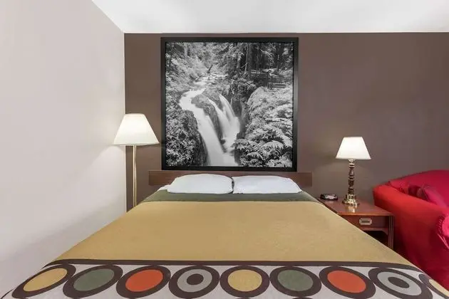 Oda, 1 Büyük (Queen) Boy Yatak, Engellilere Uygun (Mobility,Tub w/Grab Bars,Pet-Friendly)