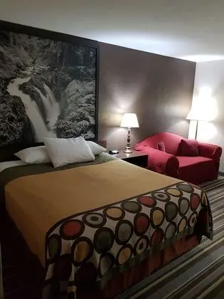 Oda, 1 Büyük (Queen) Boy Yatak, Engellilere Uygun (Mobility,Tub w/Grab Bars,Pet-Friendly)