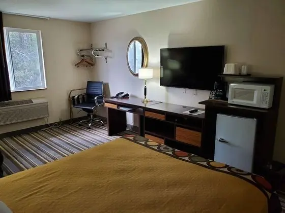 Oda, 1 Büyük (Queen) Boy Yatak, Engellilere Uygun (Mobility,Tub w/Grab Bars,Pet-Friendly)
