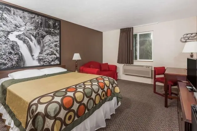 Oda, 1 Büyük (Queen) Boy Yatak, Engellilere Uygun (Mobility,Tub w/Grab Bars,Pet-Friendly)