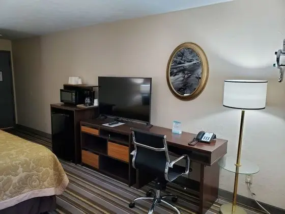 Oda, 1 Büyük (Queen) Boy Yatak, Engellilere Uygun (Mobility,Tub w/Grab Bars,Pet-Friendly)